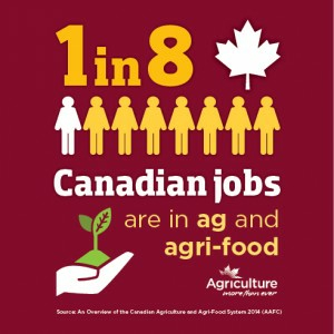 32256-1-in-8-jobs-300x3001 (002).jpg
