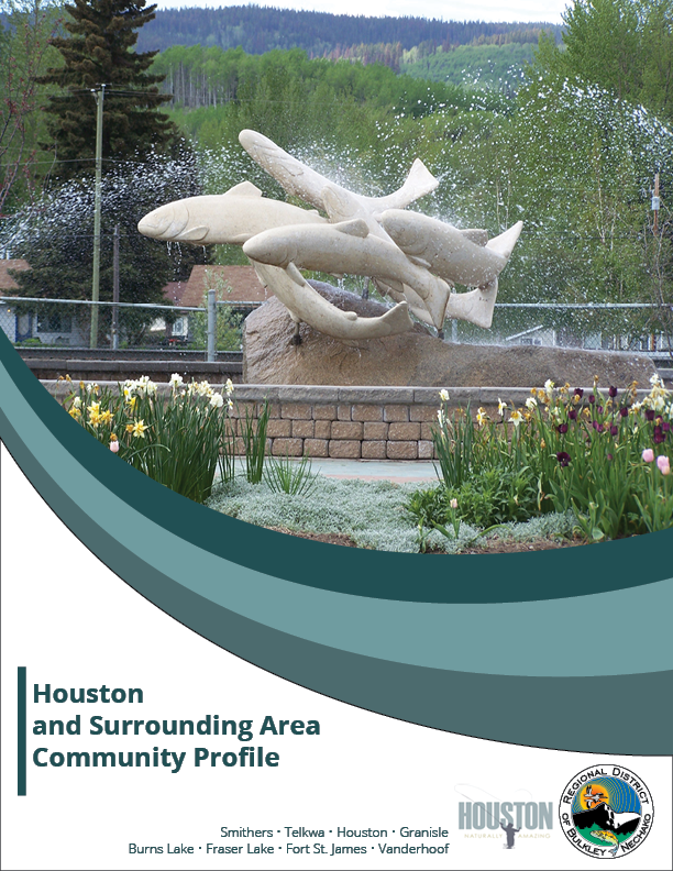 Houston Community Profile 2022 Cover Page.png