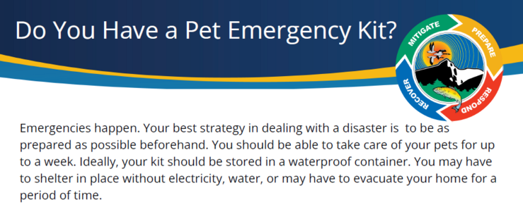 Emergency Pet Kit Banner.png