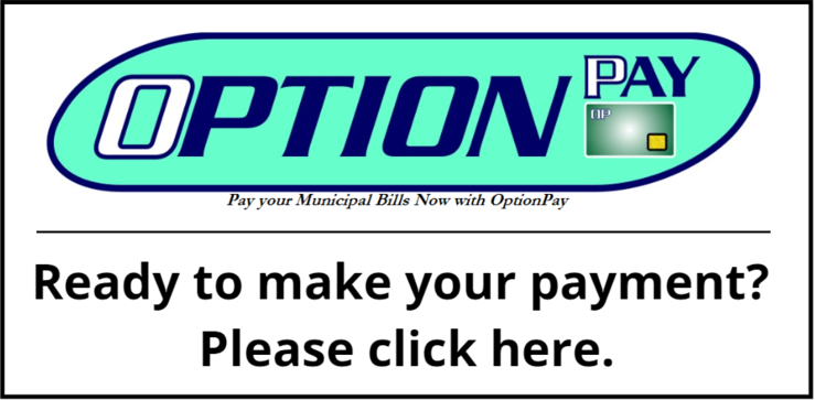 Option Pay Button.PNG