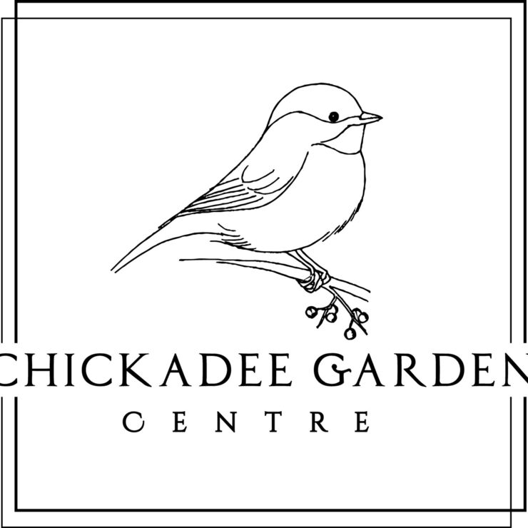 Chickadee (1).jpg